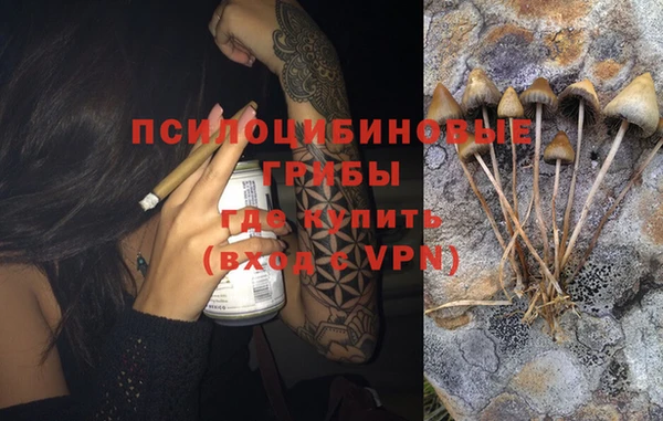 стафф Киреевск